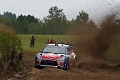 Loeb-Elena  Shakedown